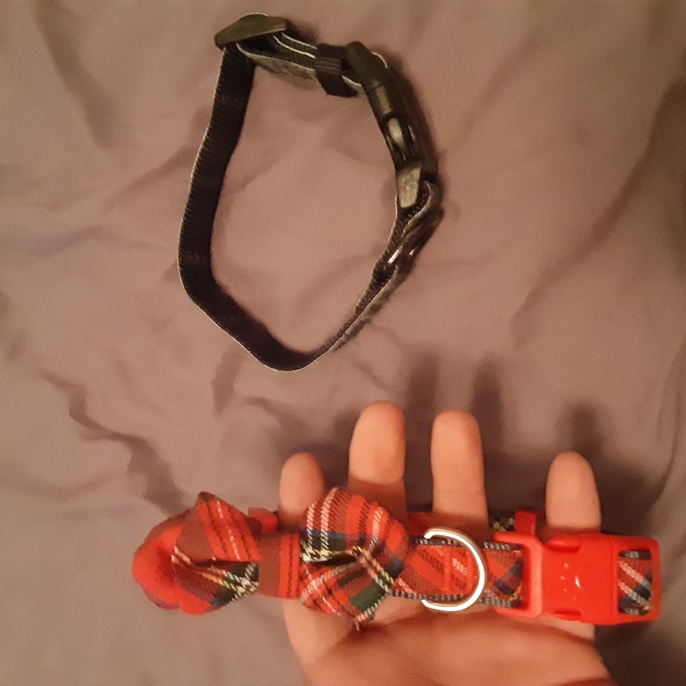 Dog Collars - Picture 2 of 2